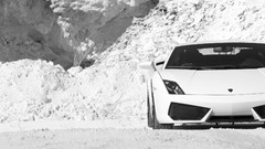 Cars Lamborghini lamborghini gallardo automotive