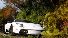 Cars lamborghini murcielago