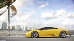 Cars Lamborghini palm trees