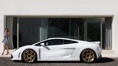 Cars Lamborghini sema