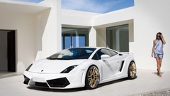 Cars Lamborghini sema