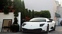 Cars Lamborghini Supercars