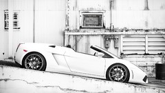 Cars Lamborghini white