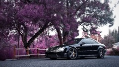 Cars Mercedes-Benz Mercedes Benz CLK