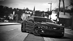 Cars monochrome chevrolet camaro ss
