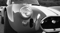 Cars monochrome greyscale