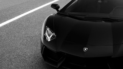 Cars monochrome races Lamborghini-Aventador