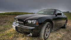 Cars muscle cars dodge