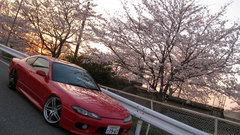 Cars Nissan Nissan Silvia