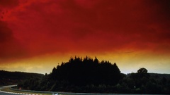 Cars orange formula one