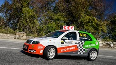 Cars Rally Car