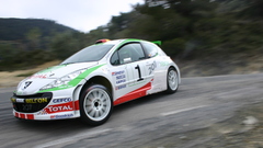 Cars rally Peugeot racing