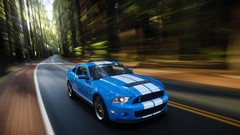 Cars ride vehicles Ford mustang ford mustang shelby gt500 Ford 