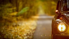 Cars roads headlights blurred background fallen leaves VW Beetle