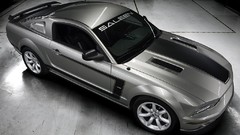 Cars Saleen vehicles