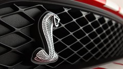 Cars Shelby Cobra emblem