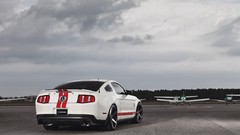 Cars shelby gt500