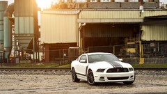 Cars side view Ford mustang boss 302 muscle cars white cars 