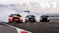 Cars Start Ford Shelby