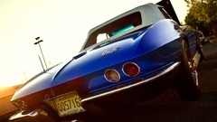 Cars sting chevrolet corvette