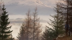 Cars Subaru Impreza WRC