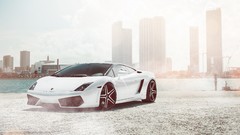 Cars supercar lamborghini gallardo