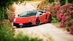 Cars Supercars lamborghini gallardo