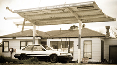 Cars Toyota vehicles panda