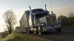 Cars trucks vehicles