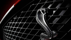 Cars vehicles ford mustang