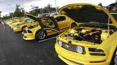 Cars vehicles Ford mustang