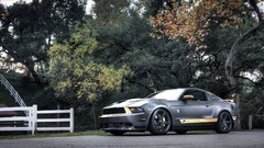 Cars vehicles Ford mustang