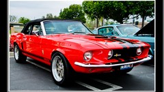 Cars vehicles Ford Shelby