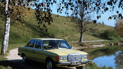 Cars vehicles front angle