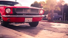 Cars vintage vehicles Ford mustang classic cars muscle cars