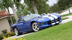 Cars Viper Dodge vehicles