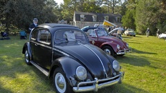 Cars Volkswagen beetle insect