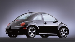 Cars Volkswagen beetle insect