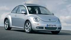 Cars Volkswagen beetle insect