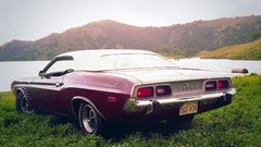 Cars wheels vehicles automobiles