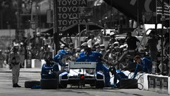 Cars widescreen races