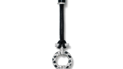 Cartier China brooch lg