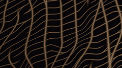 Cartoon Spiderman web hey