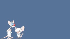 Cartoons funny animation Rats Pinky and the Brain