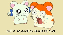 Cartoons hamtaro
