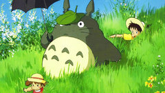 Cartoons hayao miyazaki totoro