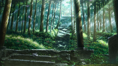 Cartoons hayao miyazaki totoro