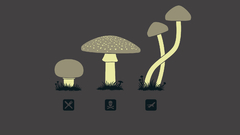 Cartoons mushrooms