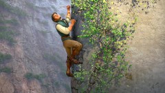 Cartoons tangled Disney Company