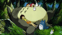 Cartoons totoro My Neighbour
